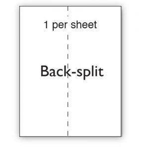 A4 Paper Translucent Clear Labels 210x297mm Single Backsplit