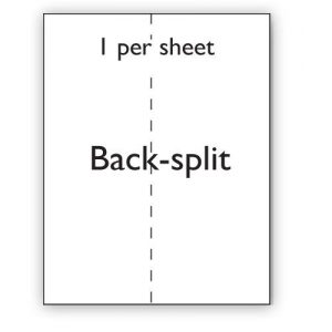 A4 Label White Permanent 210x297mm Single Backsplit