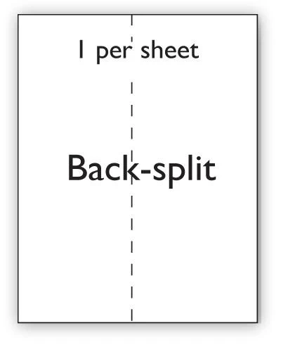 A4 Label White Permanent 210x297mm Single Backsplit